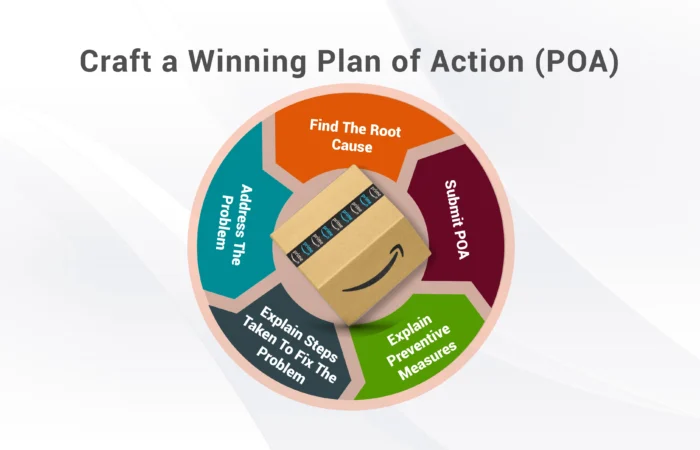 Amazon plan of action