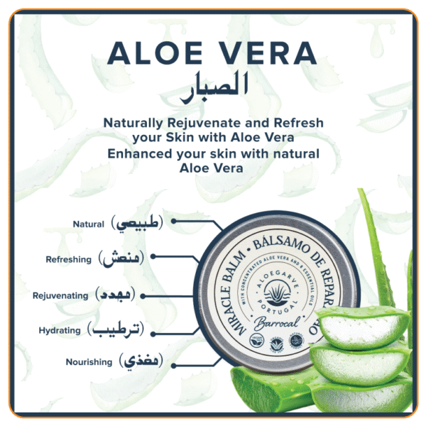 Aloe vera