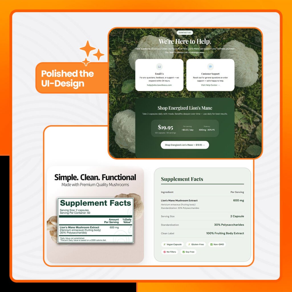 this image shows the solutions of the web development case study