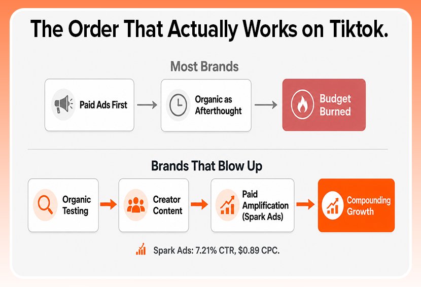 The image shows the TikTok brand strategy that works for content.